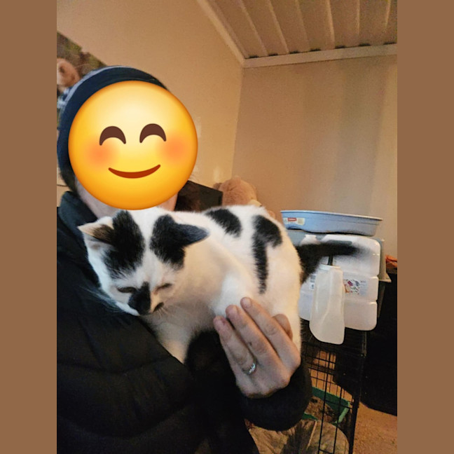 Photo of Milly