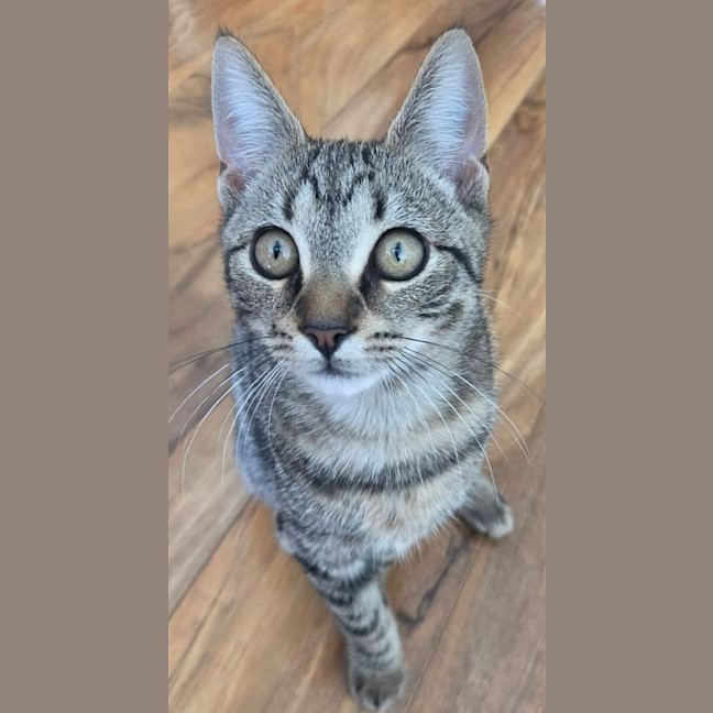 Photo of Tina