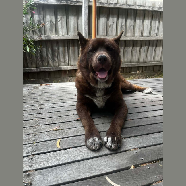 Photo of Strika