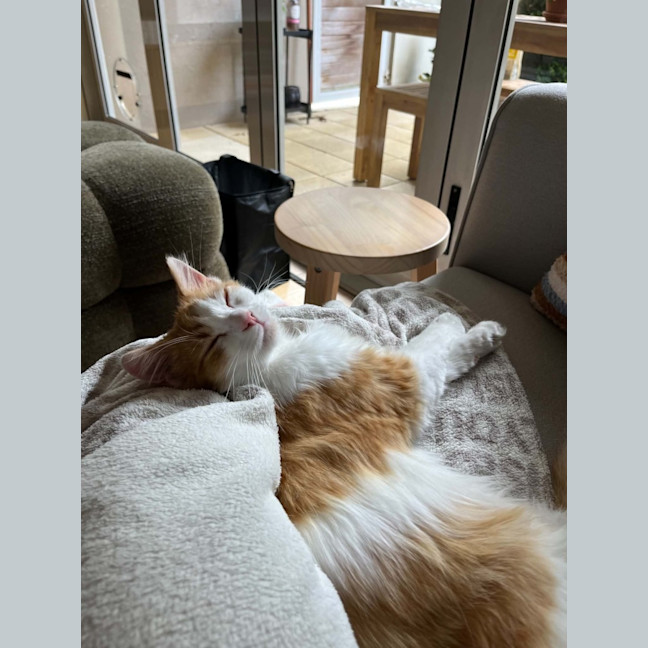 Photo of Bentley 