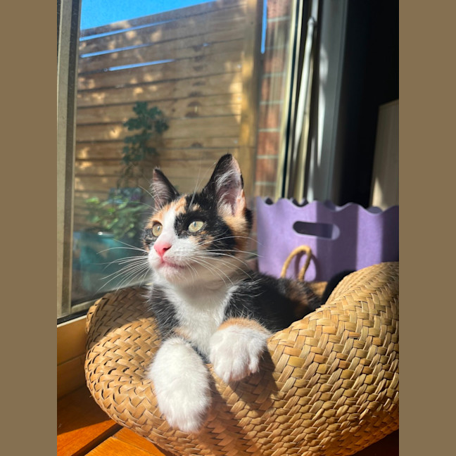 Photo of Katie