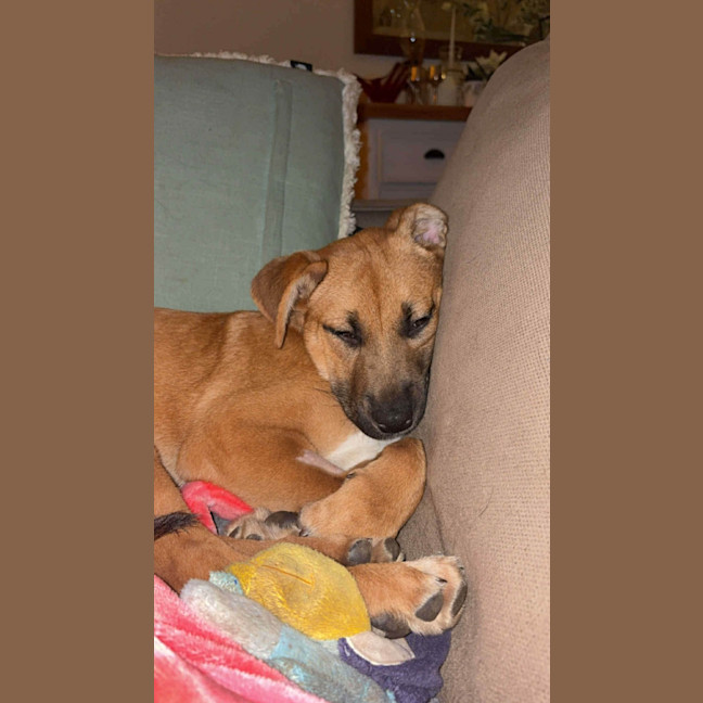 Photo of Gabby