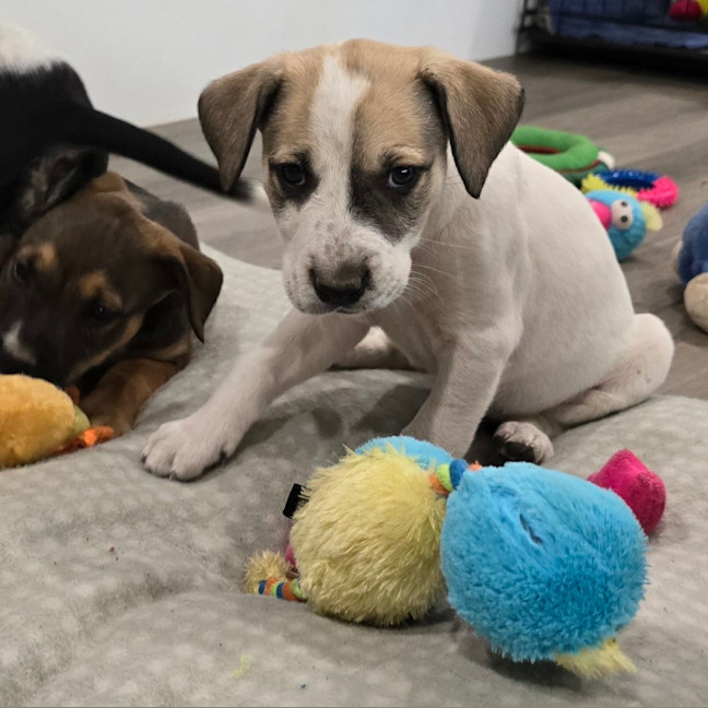 Photo of Lumpy Space Princess