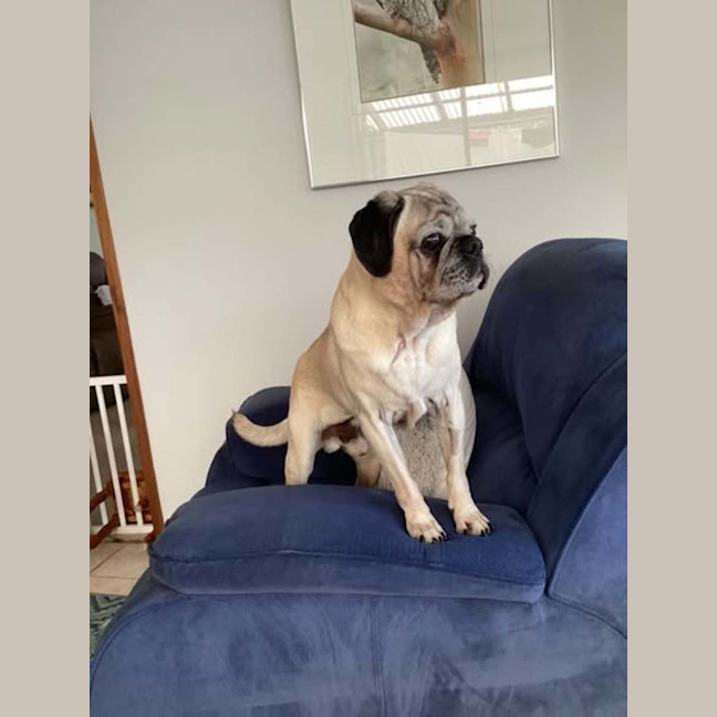 Photo of Digger