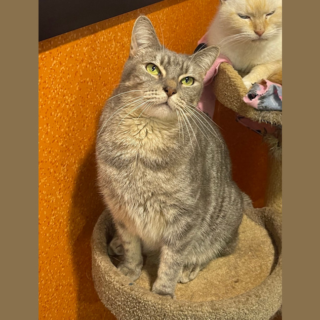 Photo of Leo