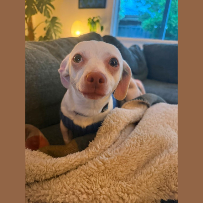 Photo of Jessie 