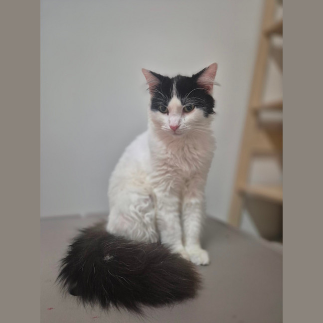Photo of Daphne 