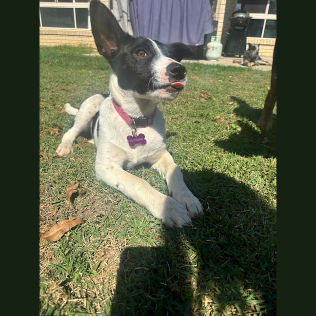Photo of Bonnie
