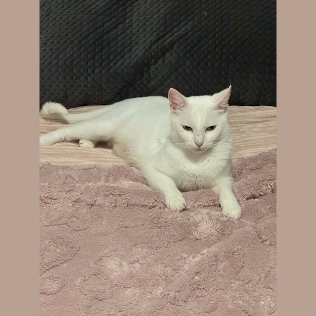 Photo of Jewel