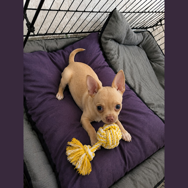 Photo of Lexi