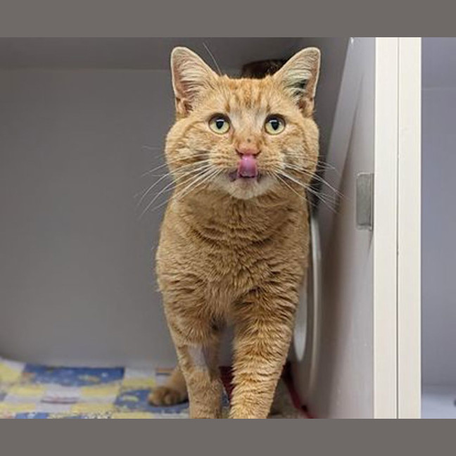 Photo of Bb (Butter Boy)