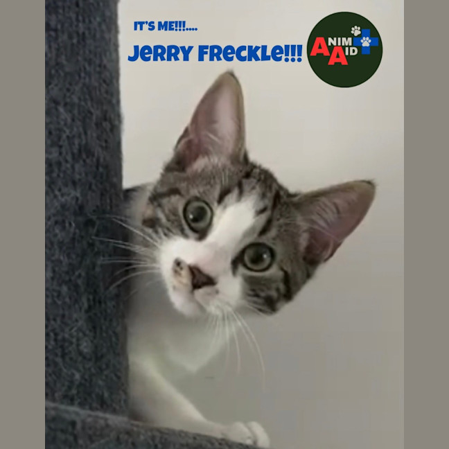Photo of Jerry Freckle