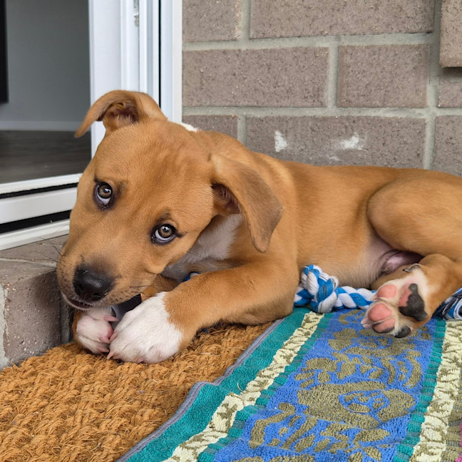 Photo of Murphy