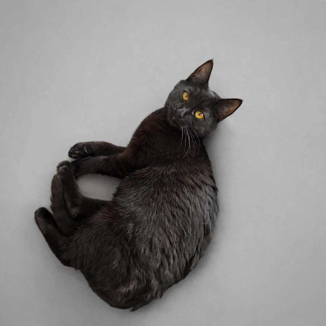 Photo of Sadie