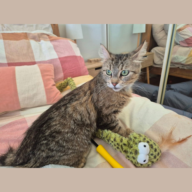 Photo of Daisy