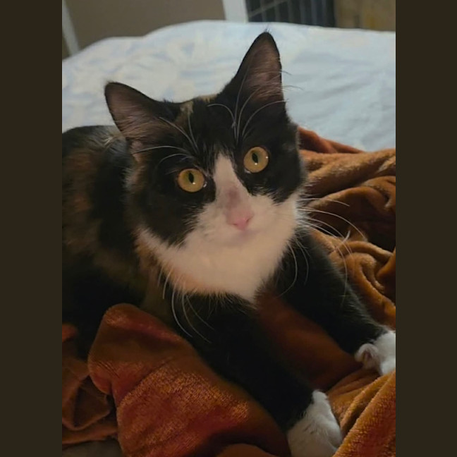 Photo of Mona