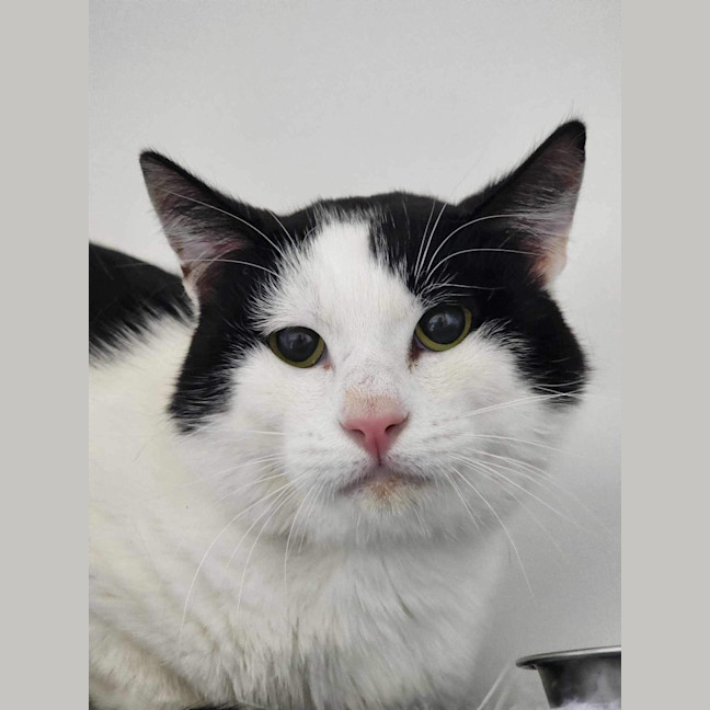 Photo of 🧃 Ian 5627 🧃