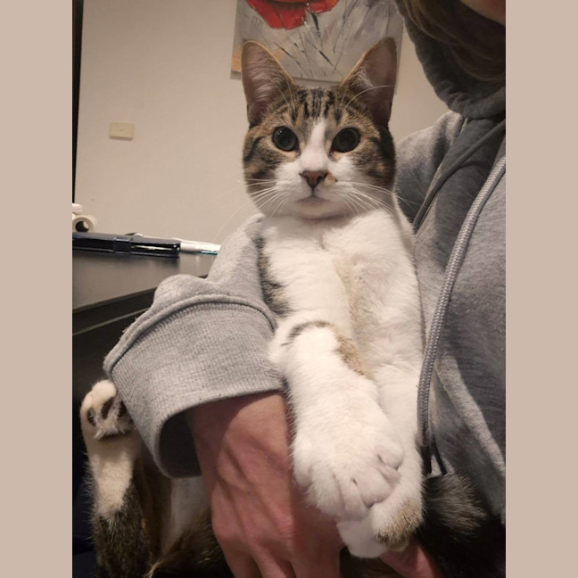 Photo of Flip