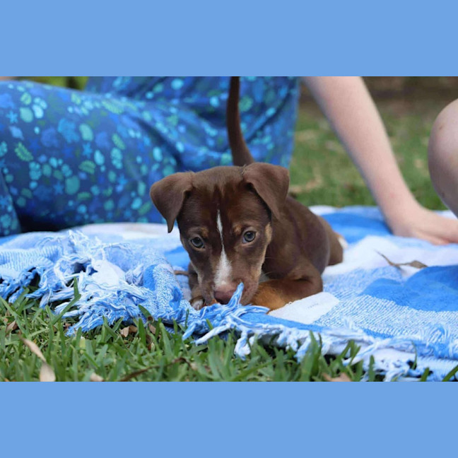 Photo of Hazel