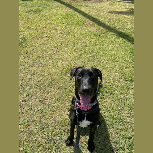 Photo of Athena
