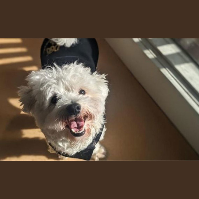 Photo of Max
