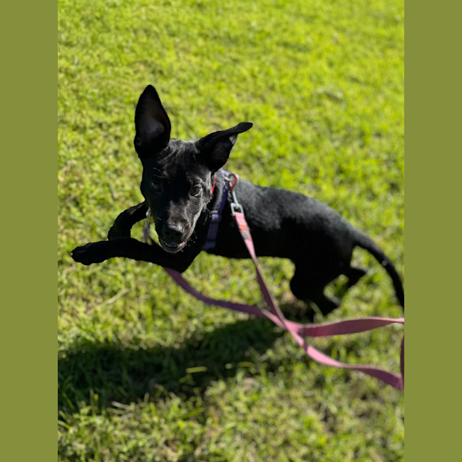 Photo of Hazel