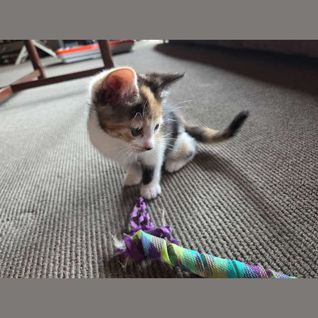 Photo of Sophie
