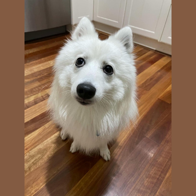 Photo of Casper 