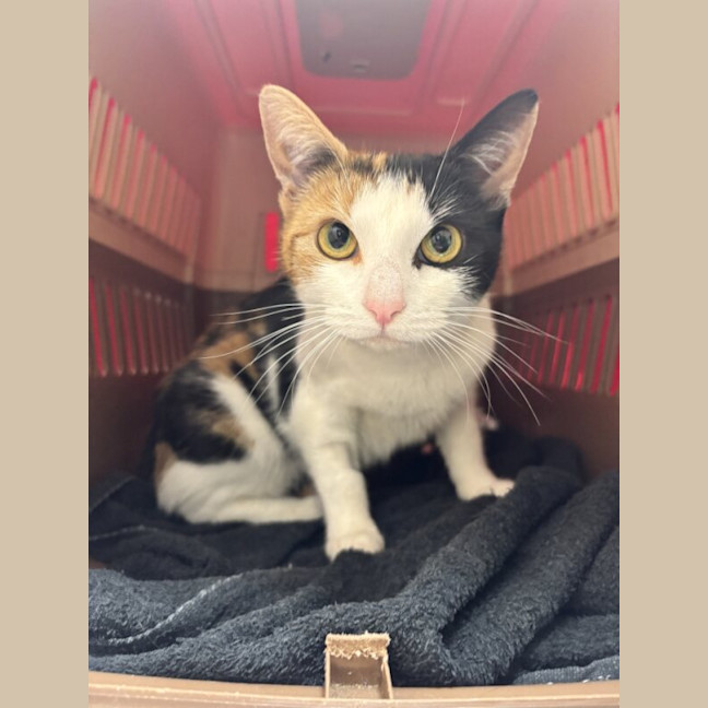 Photo of Mimi