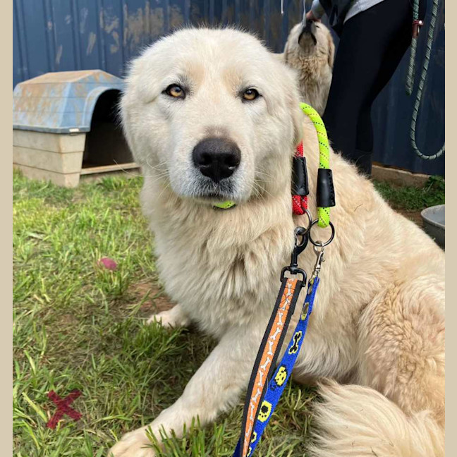 Photo of Luna And Teddy