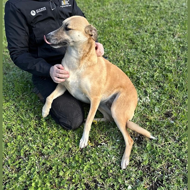 Photo of Zena