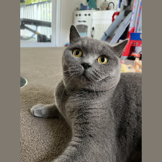 Photo of Fufu