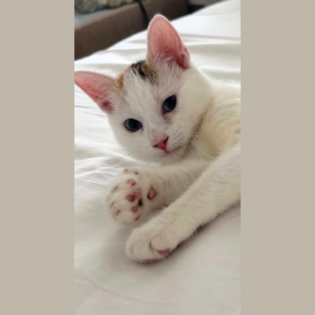 Photo of Tilly