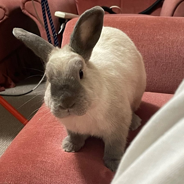 Photo of Billie Vacher