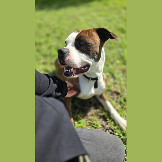 Photo of Tank