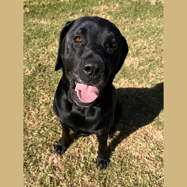 Photo of Storm