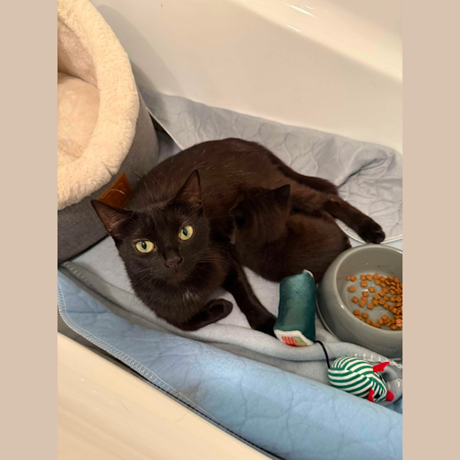 Photo of Ebony & Pip 