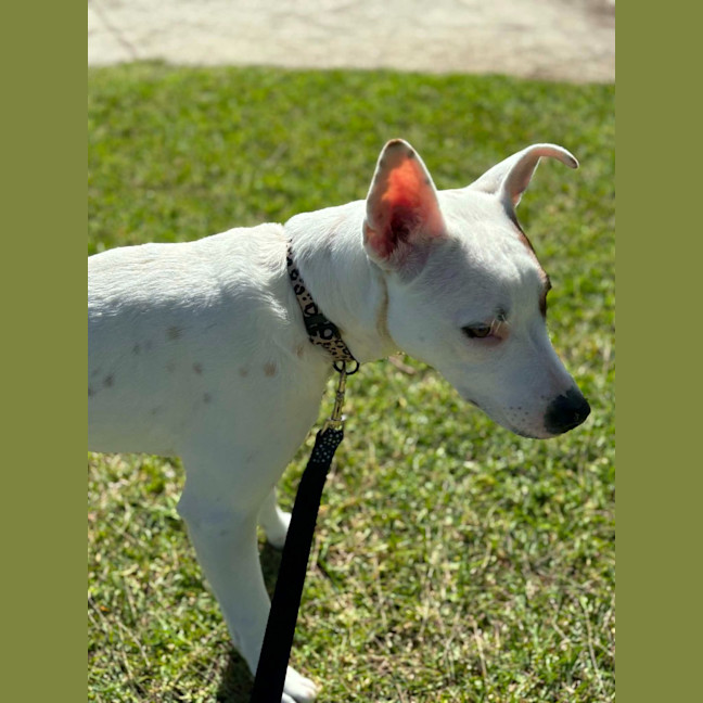 Photo of Molly