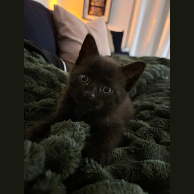 Photo of Billy