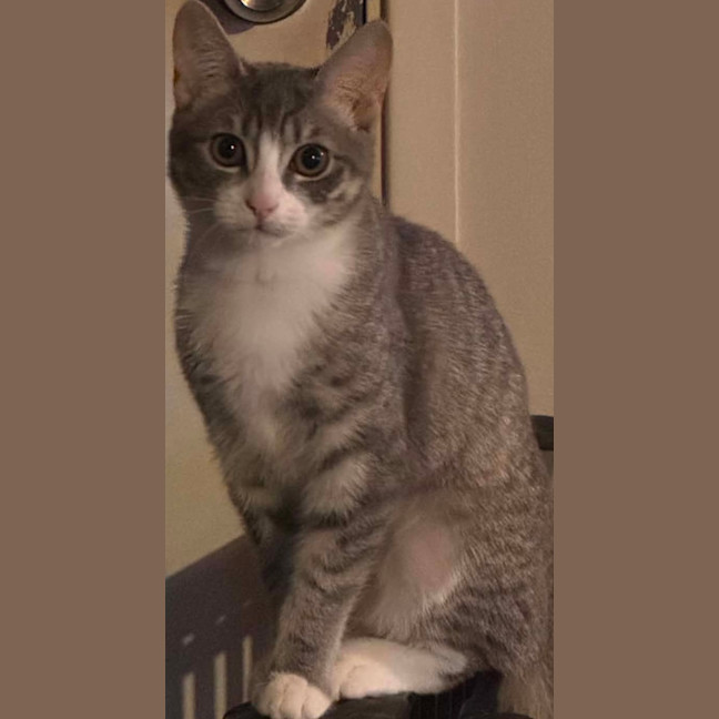 Photo of Sassy