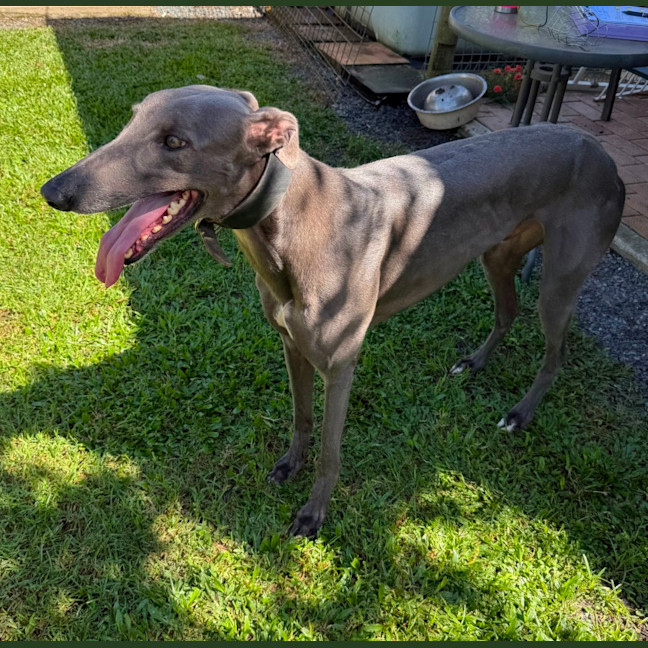 Photo of Wally