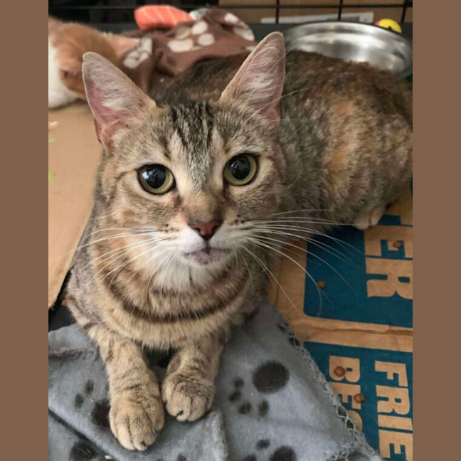 Photo of Emily And Annabelle