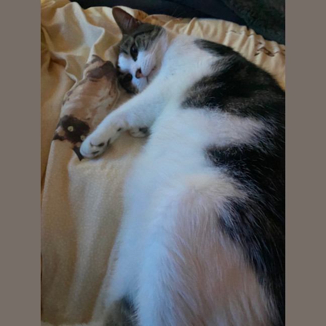 Photo of Bubba