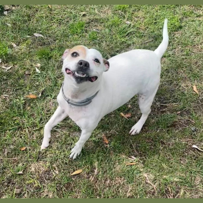 Photo of Molly (0976)