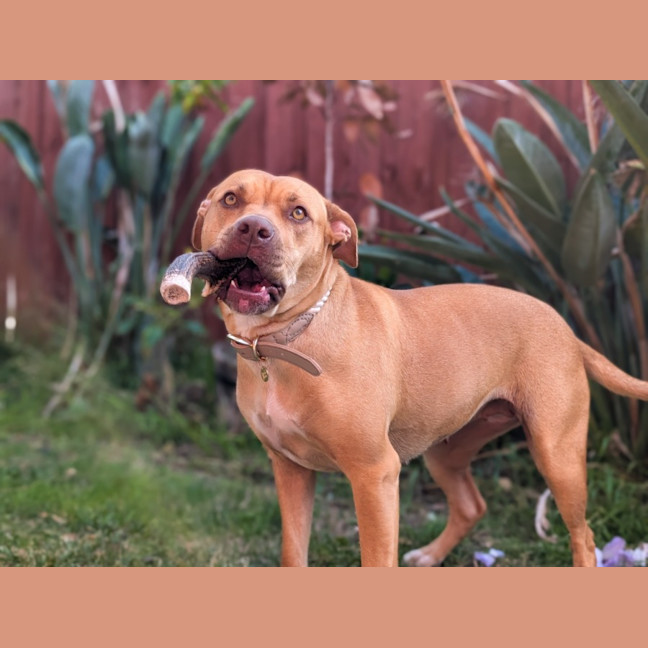 Photo of Malley 