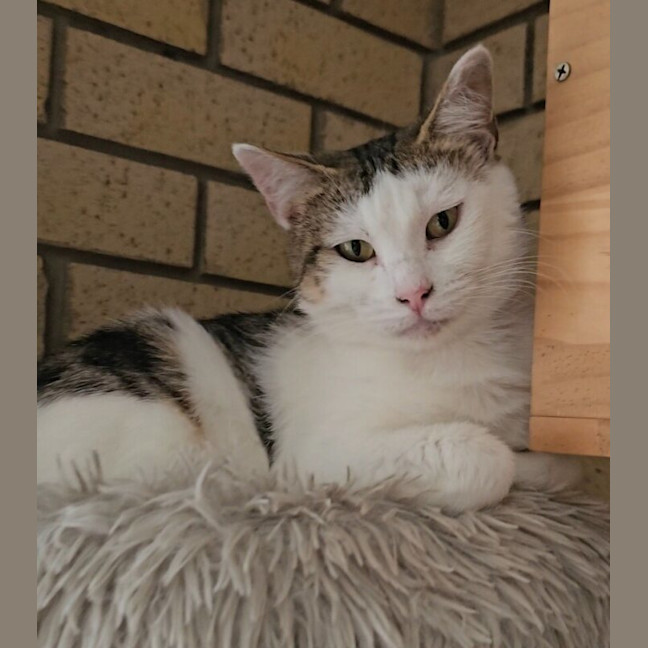 Photo of Hazel