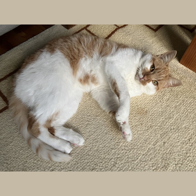 Photo of Matilda