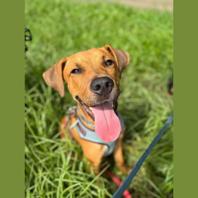 Photo of Chase
