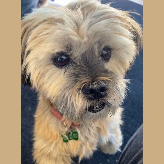 Photo of Cindy Lou