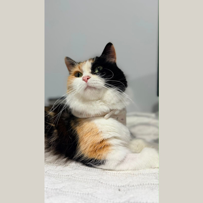 Photo of Lola